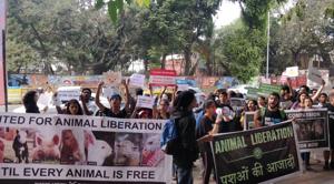 ‘Animal liberation’, ‘Stop animal cruelty’ and ‘I love animals — Going vegan makes sense’, were some of the placards and posters displayed at the event.(HT Photo) ‘Animal liberation’, ‘Stop animal cruelty’ and ‘I love animals — Going vegan makes sense’, were some of the placards and posters displayed at the event.(HT Photo)