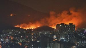 A major fire erupted in the Aarey forest near Goregaon suburb of north-west Mumbai on Monday evenin(Satyabrata Tripathy/HT Photo) A major fire erupted in the Aarey forest near Goregaon suburb of north-west Mumbai on Monday evenin(Satyabrata Tripathy/HT Photo)