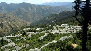Agro-forestry or farm forestry will be India’s key strategy to reduce its carbon footprint.(HT File Photo) Agro-forestry or farm forestry will be India’s key strategy to reduce its carbon footprint.(HT File Photo)