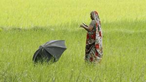 To improve programme implementation, we worked with the Telangana government to call over 20,000 Rythu Bandhu Scheme beneficiaries in a two-week span and ask a few basic questions: whether and when the beneficiaries received their cheque, cashed it, and whether they had to pay a bribe.(HT) To improve programme implementation, we worked with the Telangana government to call over 20,000 Rythu Bandhu Scheme beneficiaries in a two-week span and ask a few basic questions: whether and when the beneficiaries received their cheque, cashed it, and whether they had to pay a bribe.(HT)