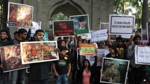 People protest in Pune against the killing of tigress Avni.(Rahul Raut / HT File) People protest in Pune against the killing of tigress Avni.(Rahul Raut / HT File)