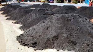 Corporation’s thermal plants together consume around 60,000 tons of coal and produce around 20,000 tons of ash per day.(Representative image) Corporation’s thermal plants together consume around 60,000 tons of coal and produce around 20,000 tons of ash per day.(Representative image)