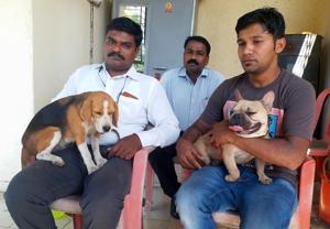 Khadakpada police recovered the stolen beagle and French bull dog.(Rishikesh Choudhary/HT) Khadakpada police recovered the stolen beagle and French bull dog.(Rishikesh Choudhary/HT)