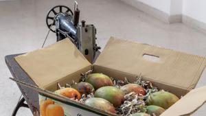 Artwork of painted bronze mangoes by Subodh Gupta. Artwork of painted bronze mangoes by Subodh Gupta.