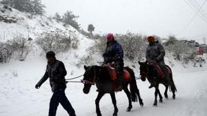 Tourists enjoying horse riding during the fresh snowfall at kufri near Shimla, Shimla on Wednesday, December 12 2018.(Deepak Sansta / HT Photo) Tourists enjoying horse riding during the fresh snowfall at kufri near Shimla, Shimla on Wednesday, December 12 2018.(Deepak Sansta / HT Photo)