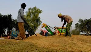 India’s potential for economic growth is already huge — and it’s only getting bigger. Within a decade, the labour force will consist of a billion people, more than anywhere else in the world.(AFP/File Photo) India’s potential for economic growth is already huge — and it’s only getting bigger. Within a decade, the labour force will consist of a billion people, more than anywhere else in the world.(AFP/File Photo)