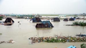 Cyclone Gaja made its landfall near the coastal Vedaranyam district, ruining life and property in Nagapattinam, Tiruvarur, Thanjavur and Pudukoittai districts.(File Photo) Cyclone Gaja made its landfall near the coastal Vedaranyam district, ruining life and property in Nagapattinam, Tiruvarur, Thanjavur and Pudukoittai districts.(File Photo)