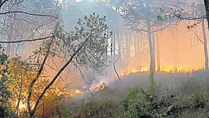 Officials put the beginning of forest fire season in Uttarakhand around the middle of February and say it lasts until the end of June.(AP File / Representative Photo) Officials put the beginning of forest fire season in Uttarakhand around the middle of February and say it lasts until the end of June.(AP File / Representative Photo)