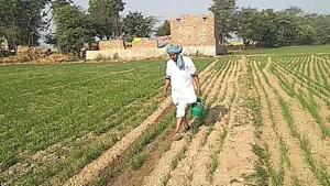 The previous BJP government in Rajasthan had announced waiver up to ~50,000 loan for 30 lakh farmers costing the state exchequer ~8,000 crore(HT File) The previous BJP government in Rajasthan had announced waiver up to ~50,000 loan for 30 lakh farmers costing the state exchequer ~8,000 crore(HT File)