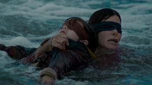 Sandra Bullock stars in Susanne Bier’s Bird Box, for Netflix.(Saeed Adyani/Netflix) Sandra Bullock stars in Susanne Bier’s Bird Box, for Netflix.(Saeed Adyani/Netflix)
