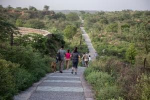 Residents will be carrying out the plant mapping activity at Aravalli Biodiversity Park. The activity will continue for two months. Residents will be carrying out the plant mapping activity at Aravalli Biodiversity Park. The activity will continue for two months.