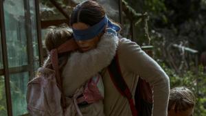 Sandra Bullock in a still from Netflix’s Bird Box.(Saeed Adyani/Netflix) Sandra Bullock in a still from Netflix’s Bird Box.(Saeed Adyani/Netflix)