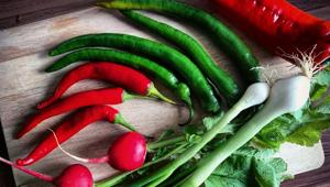 Red hot chilli peppers around the world, this week’s story on The Taste With Vir(Unsplash) Red hot chilli peppers around the world, this week’s story on The Taste With Vir(Unsplash)