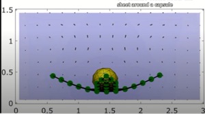 Inspired by the magic carpet featured in the folk tale of ‘Aladdin’, researchers have designed a two-dimensional, shape-changing sheet that moves autonomously in a reactant-filled fluid.(UNIVERSITY OF PITTSBURGH)