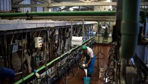 The government is planning to shift the country’s entire milk sector to solar energy—from farmers onward to processors—through an upfront subsidy of 30%. A policy, in the works, will be announced soon, Dilip Rath, the chairman of National Dairy Development Board (NDDB), told HT on Wednesday.(AFP/ Representative Image) The government is planning to shift the country’s entire milk sector to solar energy—from farmers onward to processors—through an upfront subsidy of 30%. A policy, in the works, will be announced soon, Dilip Rath, the chairman of National Dairy Development Board (NDDB), told HT on Wednesday.(AFP/ Representative Image)