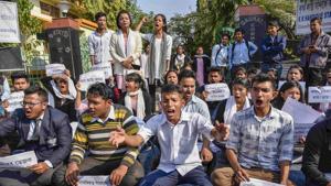 The Lok Sabha passed the bill on Tuesday and its passage in the Rajya Sabha could boost the BJP’s fortunes in general elections later this year among the Bengali speaking Hindu population of Assam, many of whom migrated from Bangladesh and erstwhile East Pakistan.(PTI) The Lok Sabha passed the bill on Tuesday and its passage in the Rajya Sabha could boost the BJP’s fortunes in general elections later this year among the Bengali speaking Hindu population of Assam, many of whom migrated from Bangladesh and erstwhile East Pakistan.(PTI)
