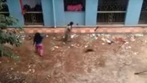 A video grab shows two women clobbering 16 puppies to death in Kolkata.(Sourced from Facebook) A video grab shows two women clobbering 16 puppies to death in Kolkata.(Sourced from Facebook)