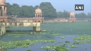 Devotees say pollution has turned the Gomti river in Lucknow toxic.(ANI) Devotees say pollution has turned the Gomti river in Lucknow toxic.(ANI)