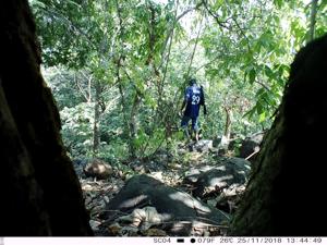 SNGP officials were able to identity the accused, Sushant Dashrath Bhowar, based on the camera trap footage.(HT PHOTO) SNGP officials were able to identity the accused, Sushant Dashrath Bhowar, based on the camera trap footage.(HT PHOTO)