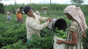 The Mahatma Gandhi National Rural Employment Generation Scheme, the Centre’s biggest welfare programme, may see its annual budget touch Rs 60,0000 crore, an increase of Rs 5,000 crore from last year.(HT File Photo) The Mahatma Gandhi National Rural Employment Generation Scheme, the Centre’s biggest welfare programme, may see its annual budget touch Rs 60,0000 crore, an increase of Rs 5,000 crore from last year.(HT File Photo)