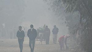 The south and east civic bodies of Delhi received 205 and 123 complaints through social media accounts. But around 50 per cent of these complaints remain unattended.(HT File Photo) The south and east civic bodies of Delhi received 205 and 123 complaints through social media accounts. But around 50 per cent of these complaints remain unattended.(HT File Photo)