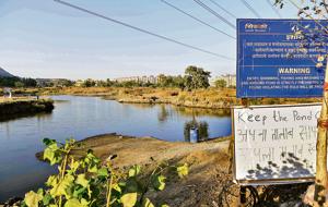 The lake at Sector at 35 in Kharghar, which has turned into a dump yard, is slowly being revived.(Bachchan Kumar/Hindustan Times) The lake at Sector at 35 in Kharghar, which has turned into a dump yard, is slowly being revived.(Bachchan Kumar/Hindustan Times)