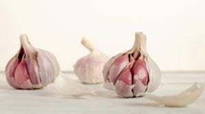 Garlic helps fight bacteria and virus. Eat four to five cloves of raw garlic every day. (Unsplash) Garlic helps fight bacteria and virus. Eat four to five cloves of raw garlic every day. (Unsplash)