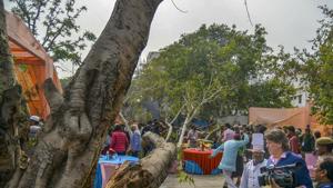 A tree breaks down during the Jaipur Literature Festival 2019, at Diggi Palace in Jaipur on January 24.(PTI Photo) A tree breaks down during the Jaipur Literature Festival 2019, at Diggi Palace in Jaipur on January 24.(PTI Photo)
