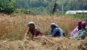 The government must continue its emphasis on social sector interventions, an official statement issued by the council said.(HT Photo) The government must continue its emphasis on social sector interventions, an official statement issued by the council said.(HT Photo)