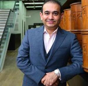 Nirav Modi and Choksi are being probed in a money laundering case and the two are among the accused in the over- <span class='webrupee'>₹</span>13,000-crore PNB scam.(Aniruddha Chowdhury/Mint)