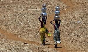 Increased temperature and freak weather events will also reduce nutritional value of crops and reduce agricultural productivity. An Indian Council of Agricultural Research (ICAR) study said one-fifth of Indian districts are already susceptible to climate change impacts.(AP) Increased temperature and freak weather events will also reduce nutritional value of crops and reduce agricultural productivity. An Indian Council of Agricultural Research (ICAR) study said one-fifth of Indian districts are already susceptible to climate change impacts.(AP)