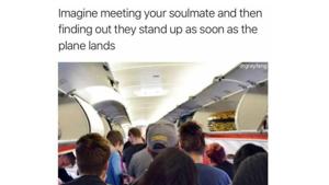 The thing is that you find several varietals of buffoonery during flights. The thing is that you find several varietals of buffoonery during flights.
