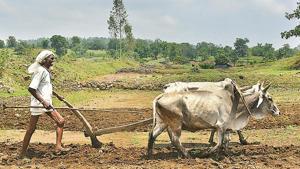 The National Rural Livelihood Mission received a 56% hike in funds—the highest among all rural schemes.(Mujeeb Faruqui/HT FILE) The National Rural Livelihood Mission received a 56% hike in funds—the highest among all rural schemes.(Mujeeb Faruqui/HT FILE)