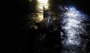 There were several saltwater crocodile sightings in the flood-ravaged Townsville area. (Image: Twitter/@Gavin Ingham) There were several saltwater crocodile sightings in the flood-ravaged Townsville area. (Image: Twitter/@Gavin Ingham)