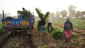 A corpus of Rs 2,000 crore will be set up at NABARD, an organisation that procures and trades farm items on behalf of government.(AFP/File Photo) A corpus of Rs 2,000 crore will be set up at NABARD, an organisation that procures and trades farm items on behalf of government.(AFP/File Photo)