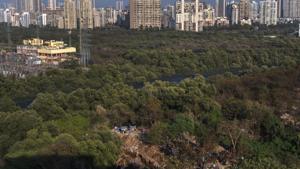 According to forest officials, the reserved forest status for the 6-ha Versova mangrove patch will ensure a stop to all illegal activities here.(Satish Bate/HT Photo) According to forest officials, the reserved forest status for the 6-ha Versova mangrove patch will ensure a stop to all illegal activities here.(Satish Bate/HT Photo)
