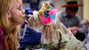An owner kisses her dog, dressed up for a show, during the 16th annual New York Pet Fashion Show on February 7, 2019 in New York City. (Photo by Johannes EISELE / AFP)(AFP) An owner kisses her dog, dressed up for a show, during the 16th annual New York Pet Fashion Show on February 7, 2019 in New York City. (Photo by Johannes EISELE / AFP)(AFP)