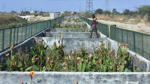 A view of a pilot Sewage Treatment Plant (STP) that is built with pebbles and plants, at Bawana, in New Delhi.(Raj K Raj/HT Photo) A view of a pilot Sewage Treatment Plant (STP) that is built with pebbles and plants, at Bawana, in New Delhi.(Raj K Raj/HT Photo)