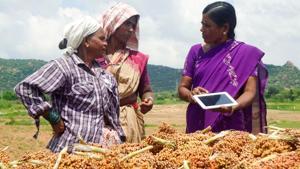 Digital tools have become a critical component of the ICRISAT’s mission. In recent years, ICRISAT’s use of AI for improved forecasting and advice has proven to increase crop yields and improve crop quality.(HT Photo) Digital tools have become a critical component of the ICRISAT’s mission. In recent years, ICRISAT’s use of AI for improved forecasting and advice has proven to increase crop yields and improve crop quality.(HT Photo)