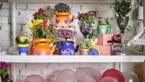 Valentine’s Day 2019: We’ve come up with a variety of options that cater to everyone’s interests. May the best gift win! (In Pic) Project Co has different kind of planters which can be gifted for Valentine’s. Valentine’s Day 2019: We’ve come up with a variety of options that cater to everyone’s interests. May the best gift win! (In Pic) Project Co has different kind of planters which can be gifted for Valentine’s.