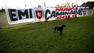 A dog stands near a banner reading in Spanish A dog stands near a banner reading in Spanish