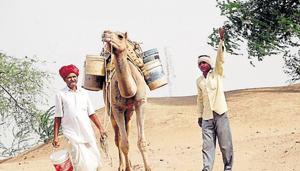 Drought-affected villagers fetch water on camel back in western Rajasthan.(HT File Photo) Drought-affected villagers fetch water on camel back in western Rajasthan.(HT File Photo)