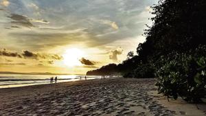 The Smith Island project, which is about 1.5km from a turtle nesting site, cannot have any tourism during nesting season.(AFP) The Smith Island project, which is about 1.5km from a turtle nesting site, cannot have any tourism during nesting season.(AFP)