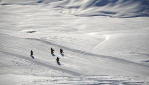 File picture of Swiss Alps(Getty Images) File picture of Swiss Alps(Getty Images)