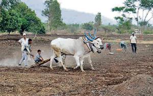 Madhya Pradesh will be able to complete only one-third of the total farmers’ data by the first week of March, says a state government official.(HT File Photo) Madhya Pradesh will be able to complete only one-third of the total farmers’ data by the first week of March, says a state government official.(HT File Photo)