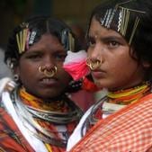Reports indicate that more than(Vipin Kumar / HT Photo) Reports indicate that more than(Vipin Kumar / HT Photo)