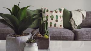 It is a huge task for a designer to deliver a space where the client can feel cosy and ease so that they can enjoy family time.(Unsplash) It is a huge task for a designer to deliver a space where the client can feel cosy and ease so that they can enjoy family time.(Unsplash)