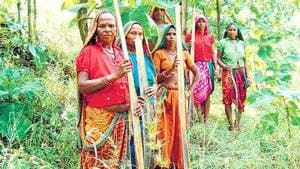On February 13, the Supreme Court asked 17 state governments to evict an estimated one million tribal and other households living in forests after their claims of the right to live in forests were rejected under The Scheduled Tribes and Other Traditional Forest Dwellers (Recognition of Forest Rights) Act, 2006 (FRA). On February 28, the SC ordered a stay of its order.(HT FILE PHOTO)