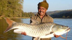 The Cauvery is subject to an intense range of anthropogenic impacts which act either independently or in combination to threaten the existence of fish populations and all aquatic flora and fauna, Adrian Pinder, a fisheries scientist, said.(Peter Dracup) The Cauvery is subject to an intense range of anthropogenic impacts which act either independently or in combination to threaten the existence of fish populations and all aquatic flora and fauna, Adrian Pinder, a fisheries scientist, said.(Peter Dracup)