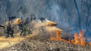 Rescue officials assist in extinguishing a forest fire at Bandipur Tiger Reserve, in Bandipur.(PTI) Rescue officials assist in extinguishing a forest fire at Bandipur Tiger Reserve, in Bandipur.(PTI)